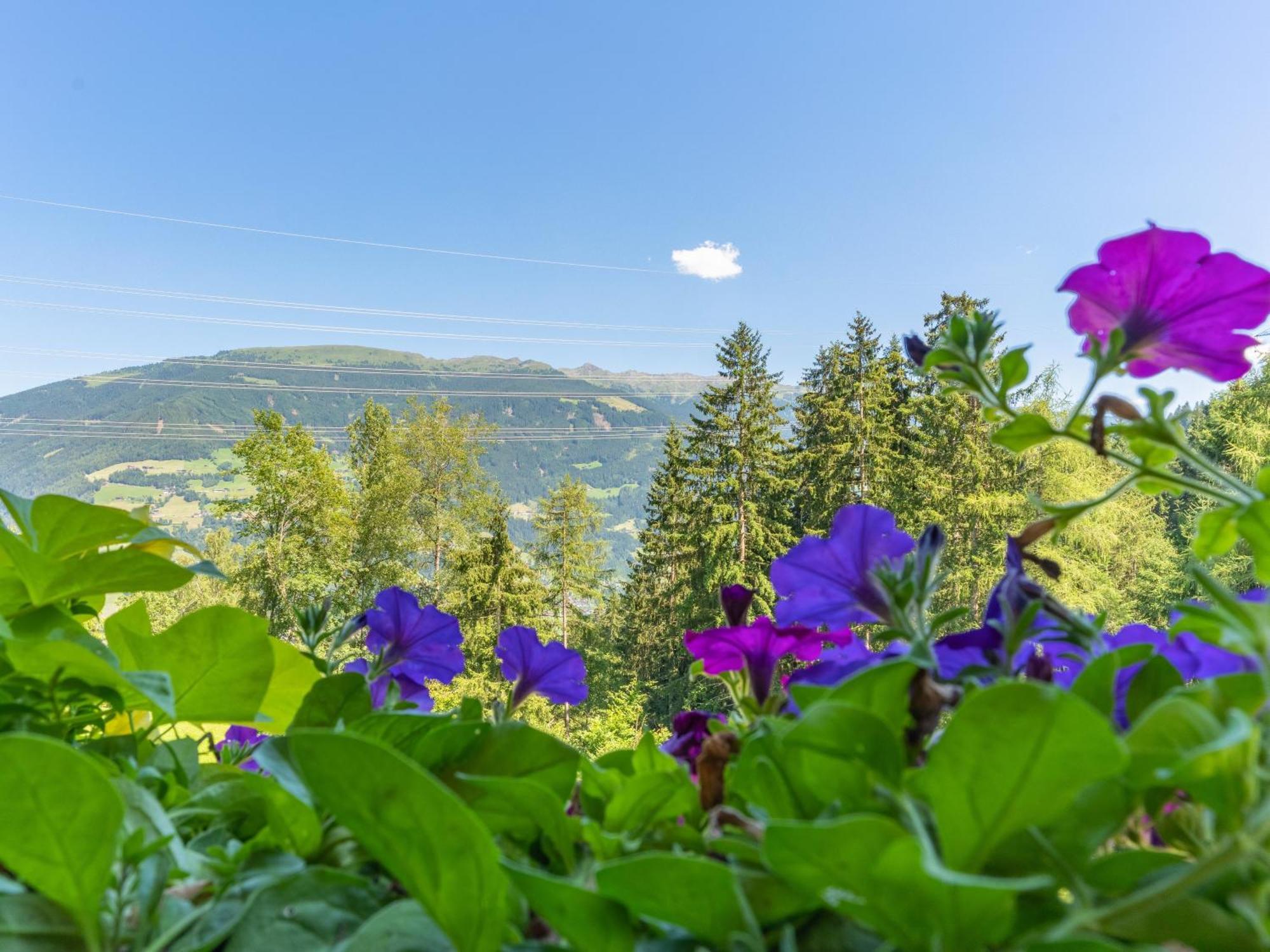 Wieshof Kaltenbach Quarto foto