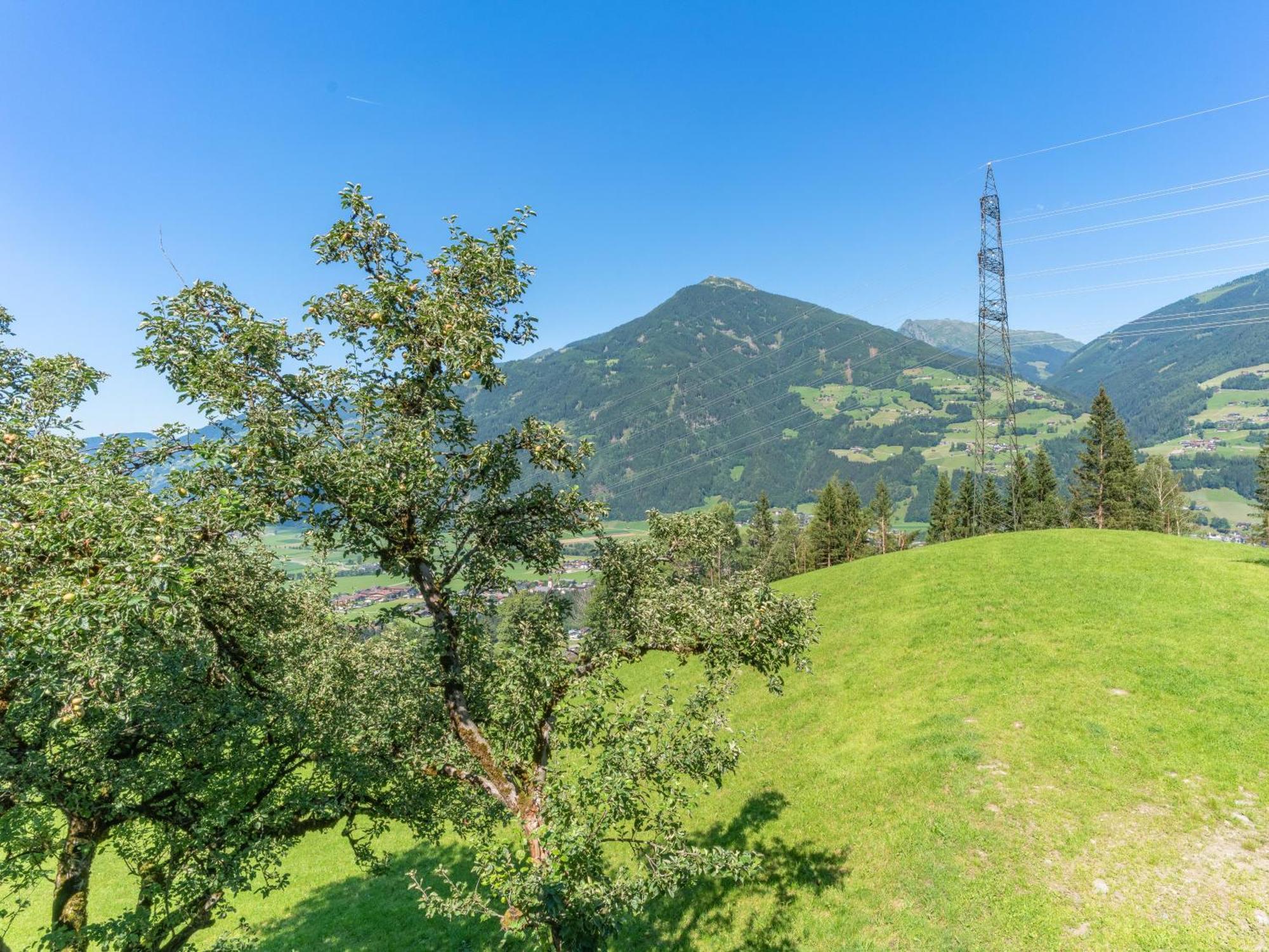 Wieshof Kaltenbach Quarto foto